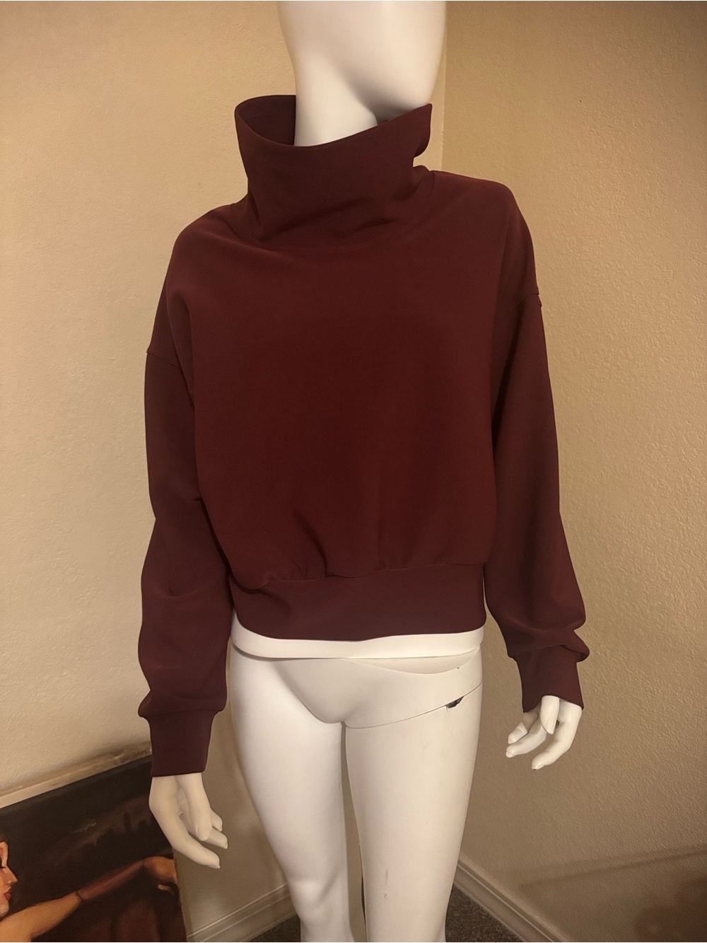 Cropped Funnel Neck Sweatshirt in Deep Burgundy